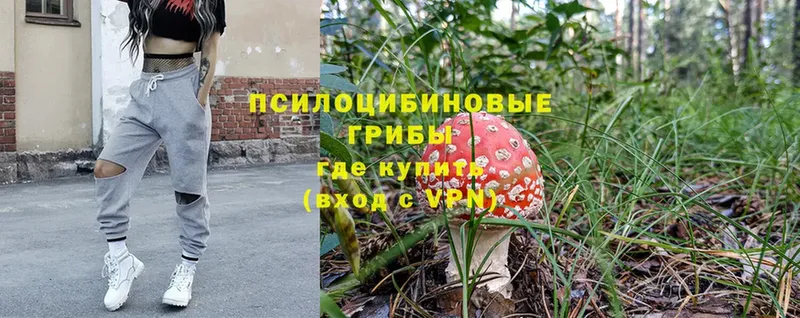 Псилоцибиновые грибы Psilocybe  нарко площадка клад  Ликино-Дулёво 